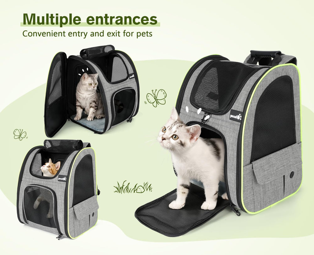 Pecute dimensiones disponibles en L y XL para gatos y perros pequeños.