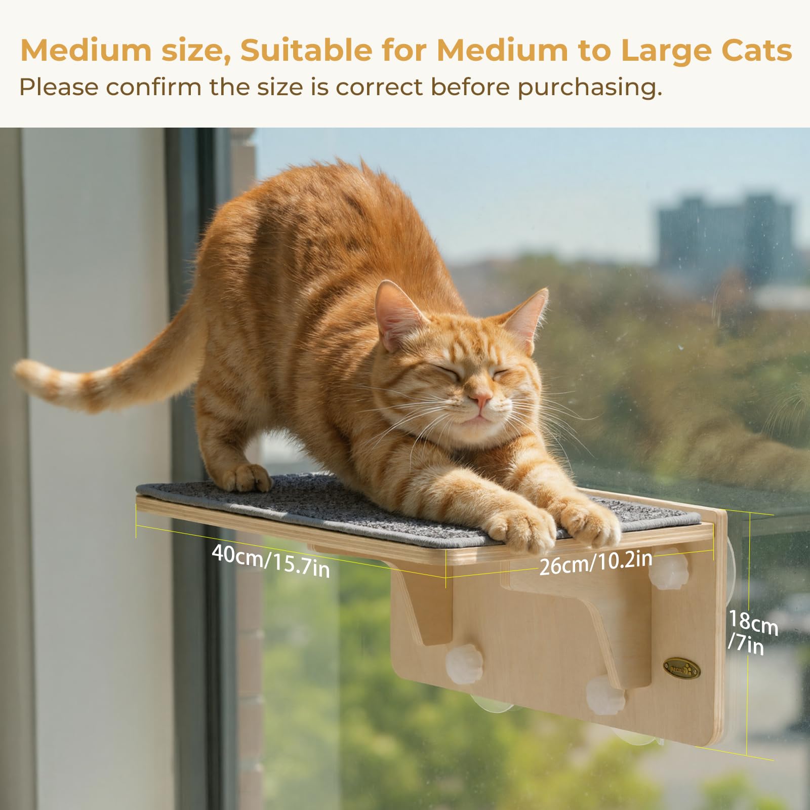 Pecute estantería para gato de madera de abedul, resistencia y estilo en casa.
