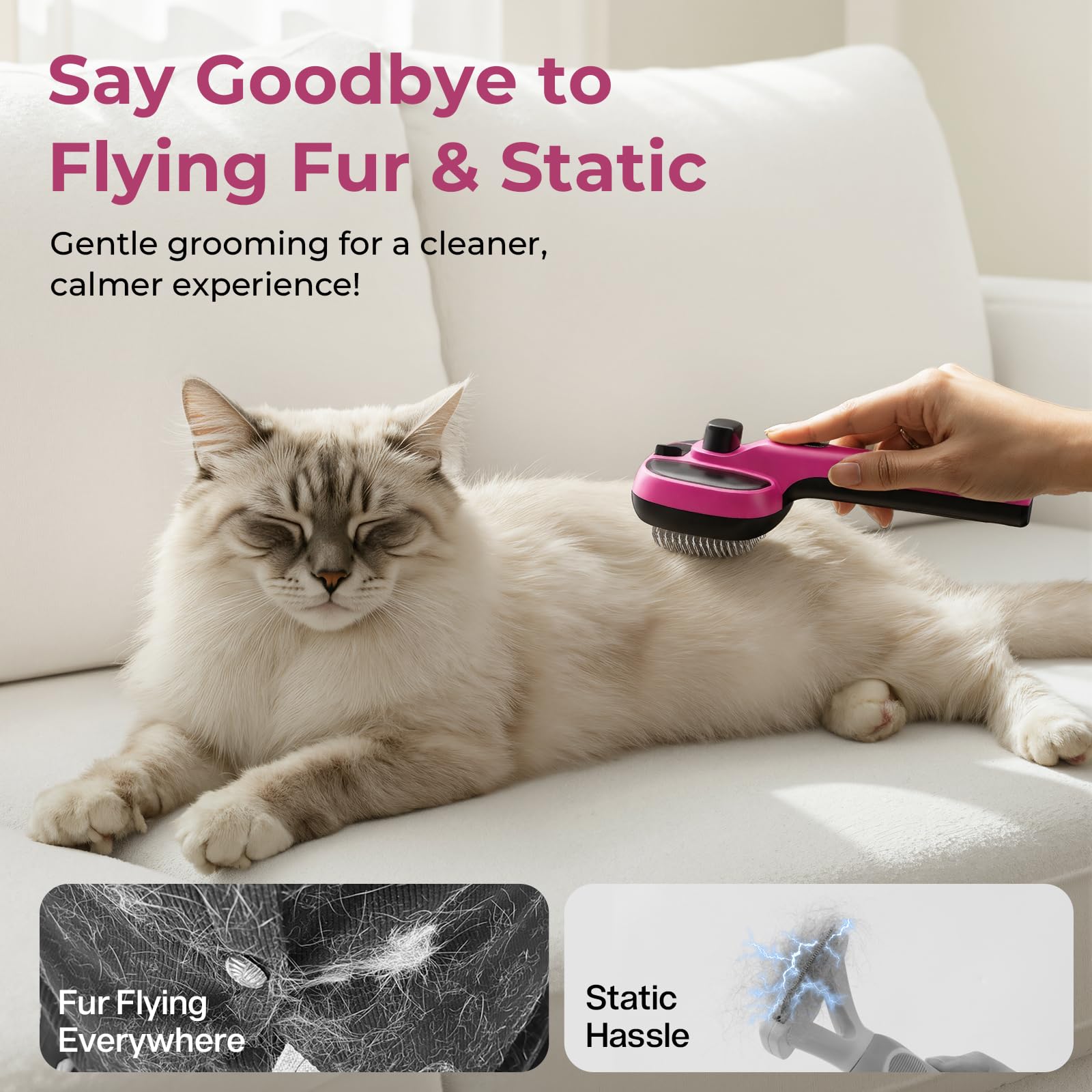 Pecute Cepillo de Vapor para Gatos, diseño compacto para uso en casa.