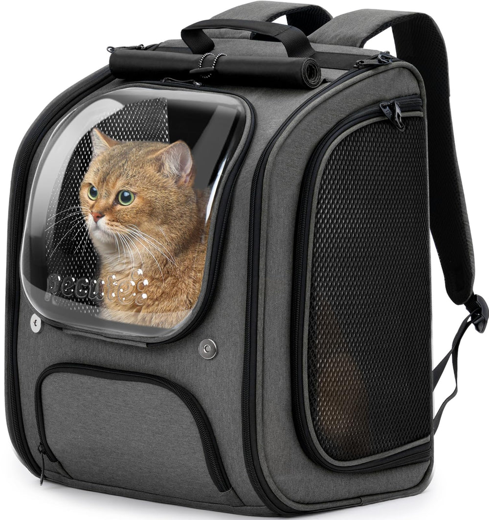 Pecute gato mochila burbujas: transporte seguro y cómodo para salidas.
