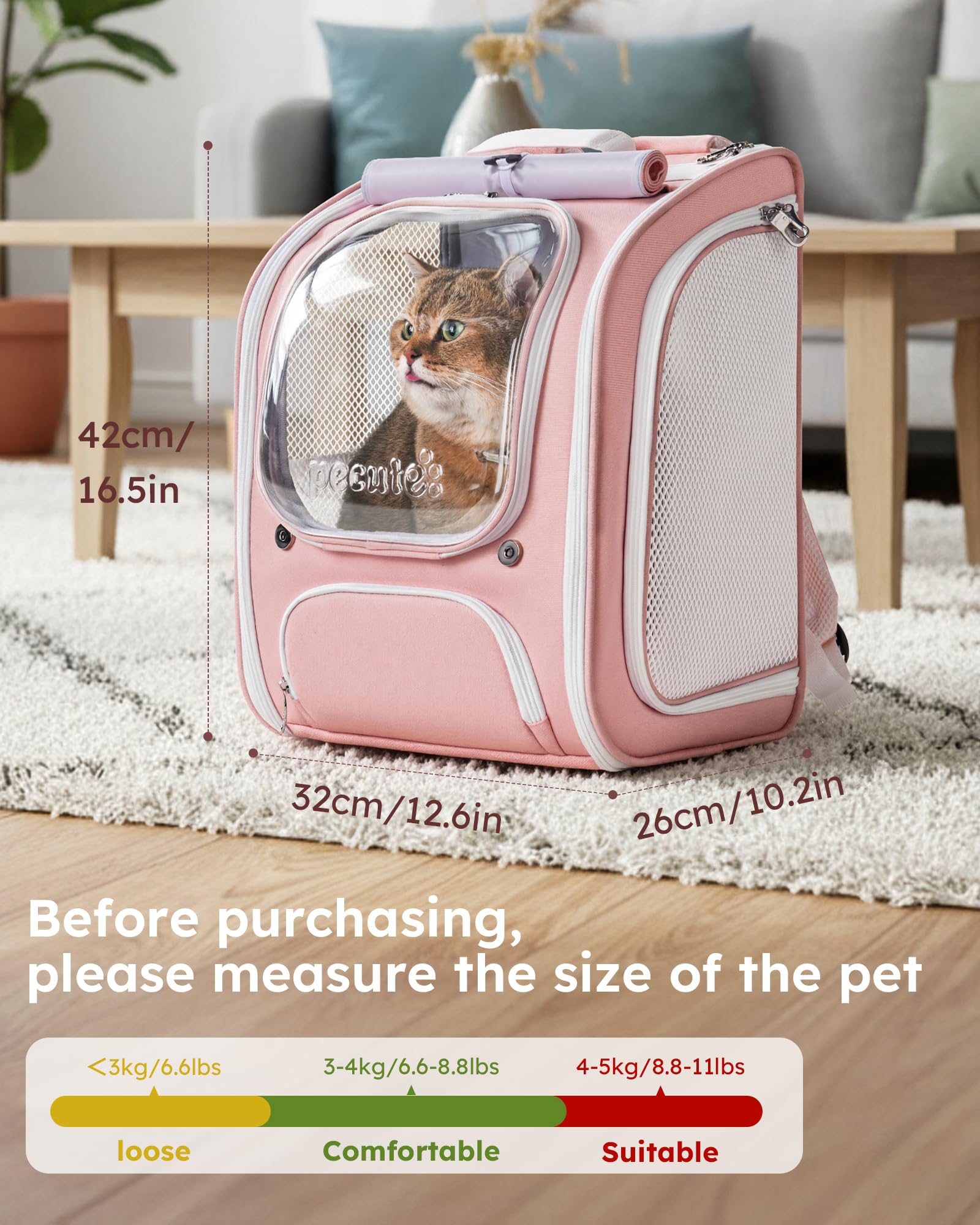 Pecute Mochila gato para viajes y caminatas