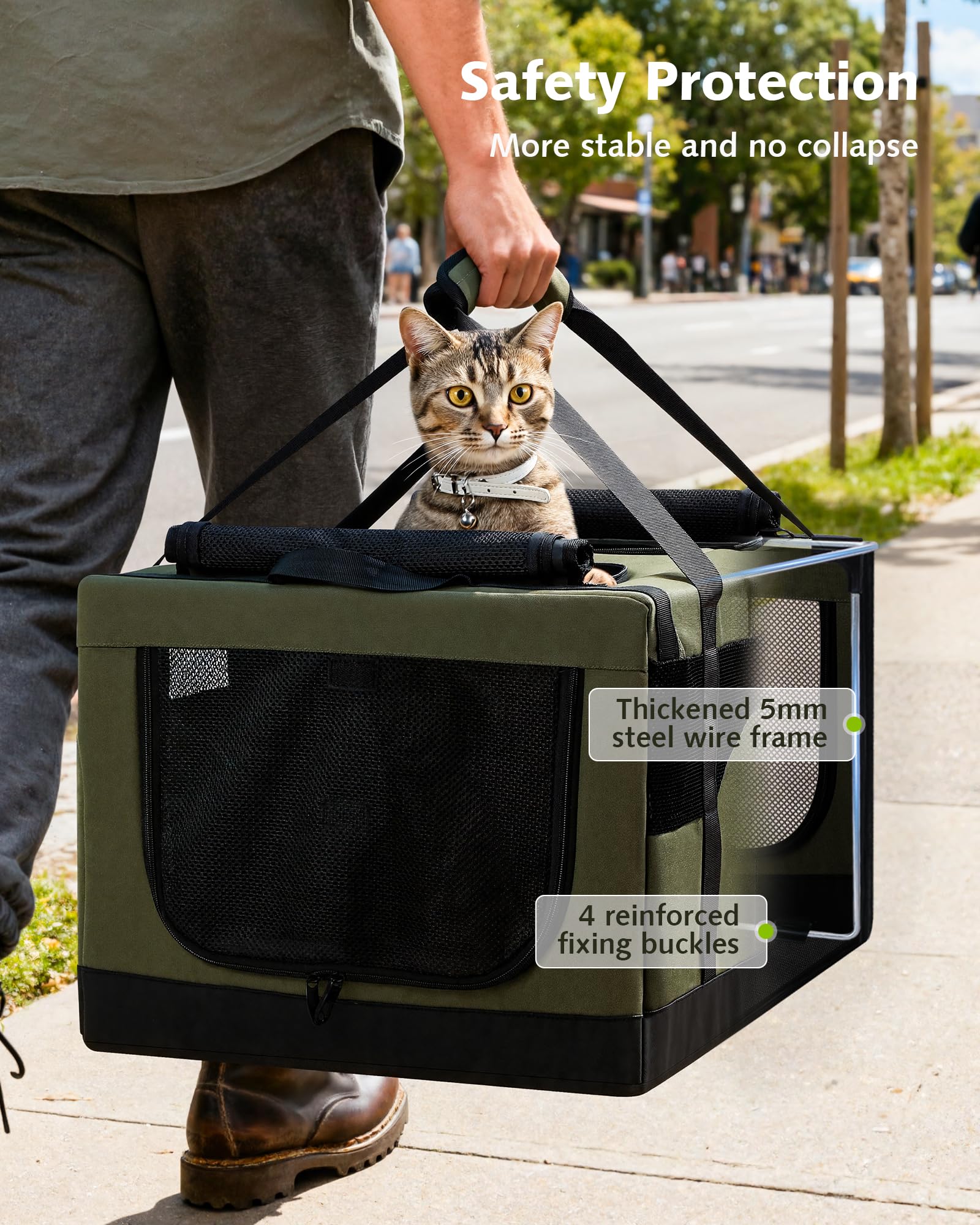 Pecute porta-gatos con divisor removible para dos zonas independientes