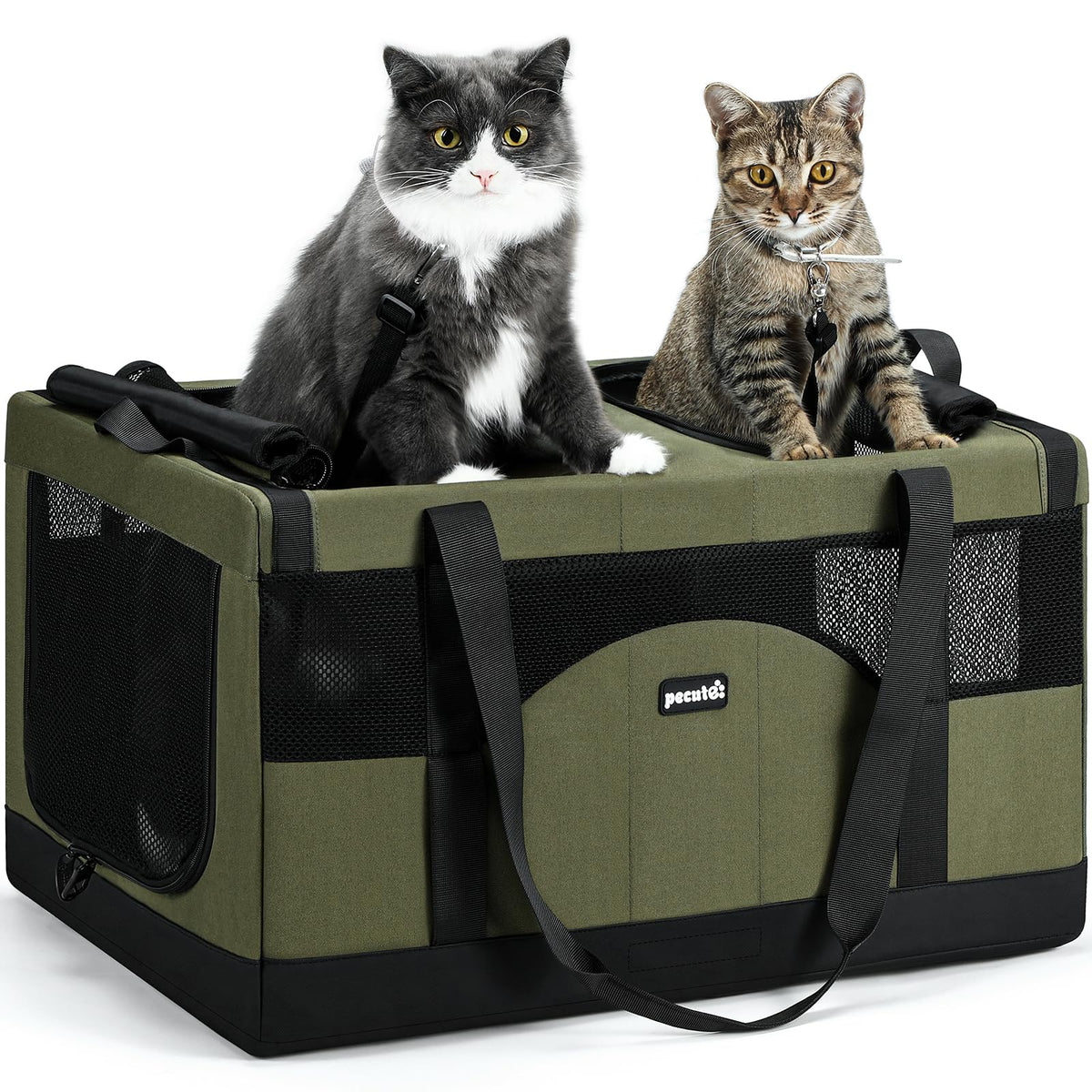 Pecute porta-gatos grande con marco de acero integrado para viajar con estabilidad