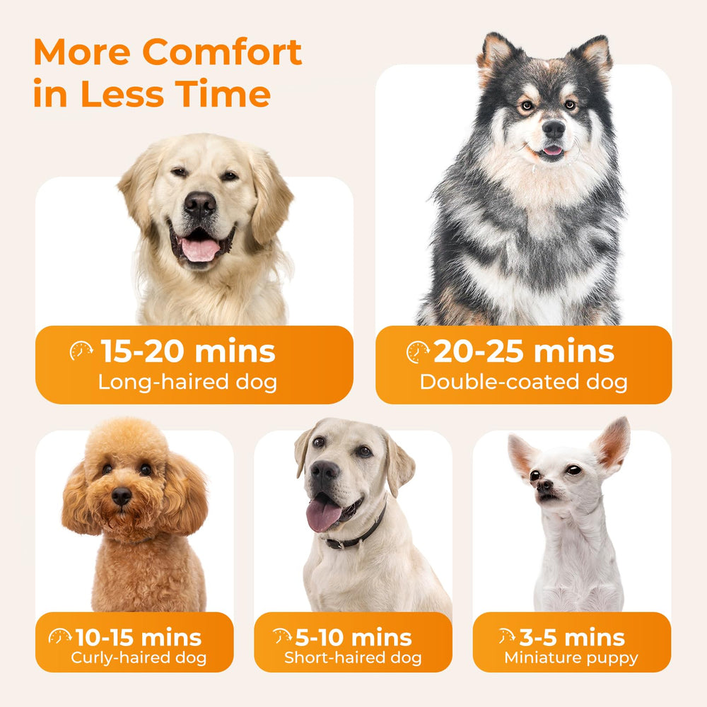 Pecute secador para perros con manguera resistente al calor para mayor durabilidad.