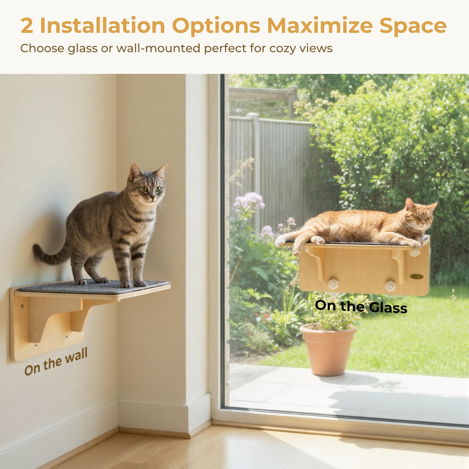 Pecute sujeciones ventosa grandes para gatos, agarre seguro durante saltos.