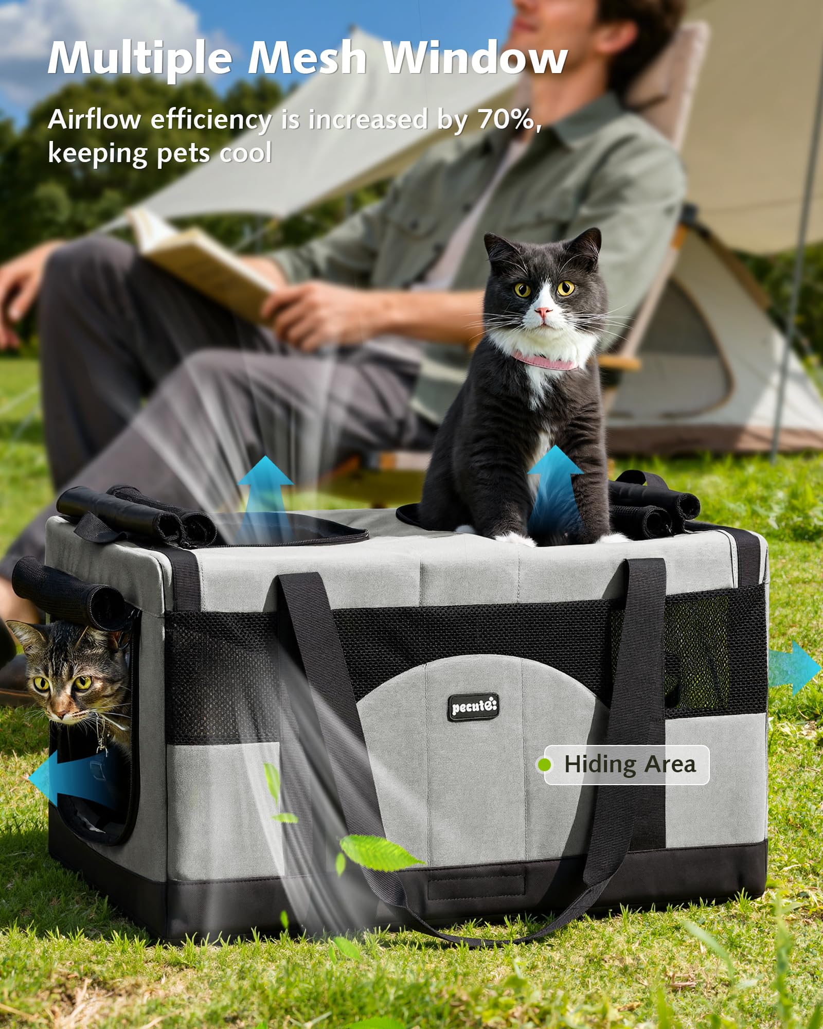 Pecute transportín para gatos: fijación segura en coche con cinturón