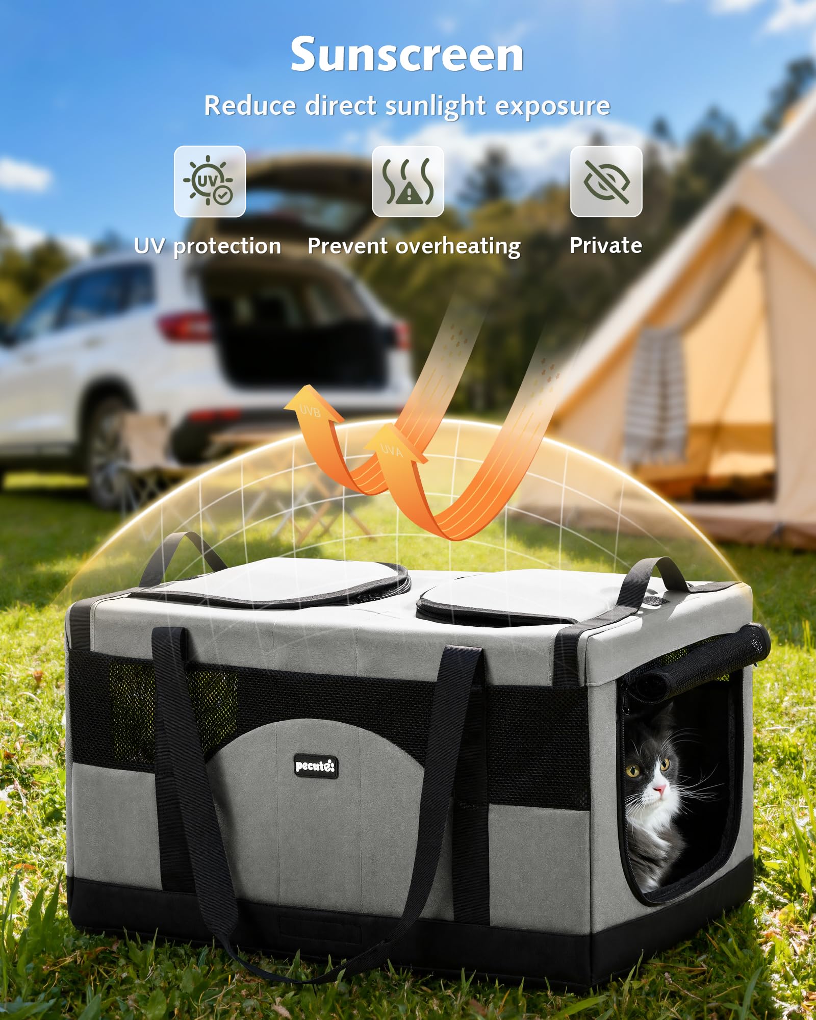 Pecute transportín para gatos: plegable para almacenamiento compacto