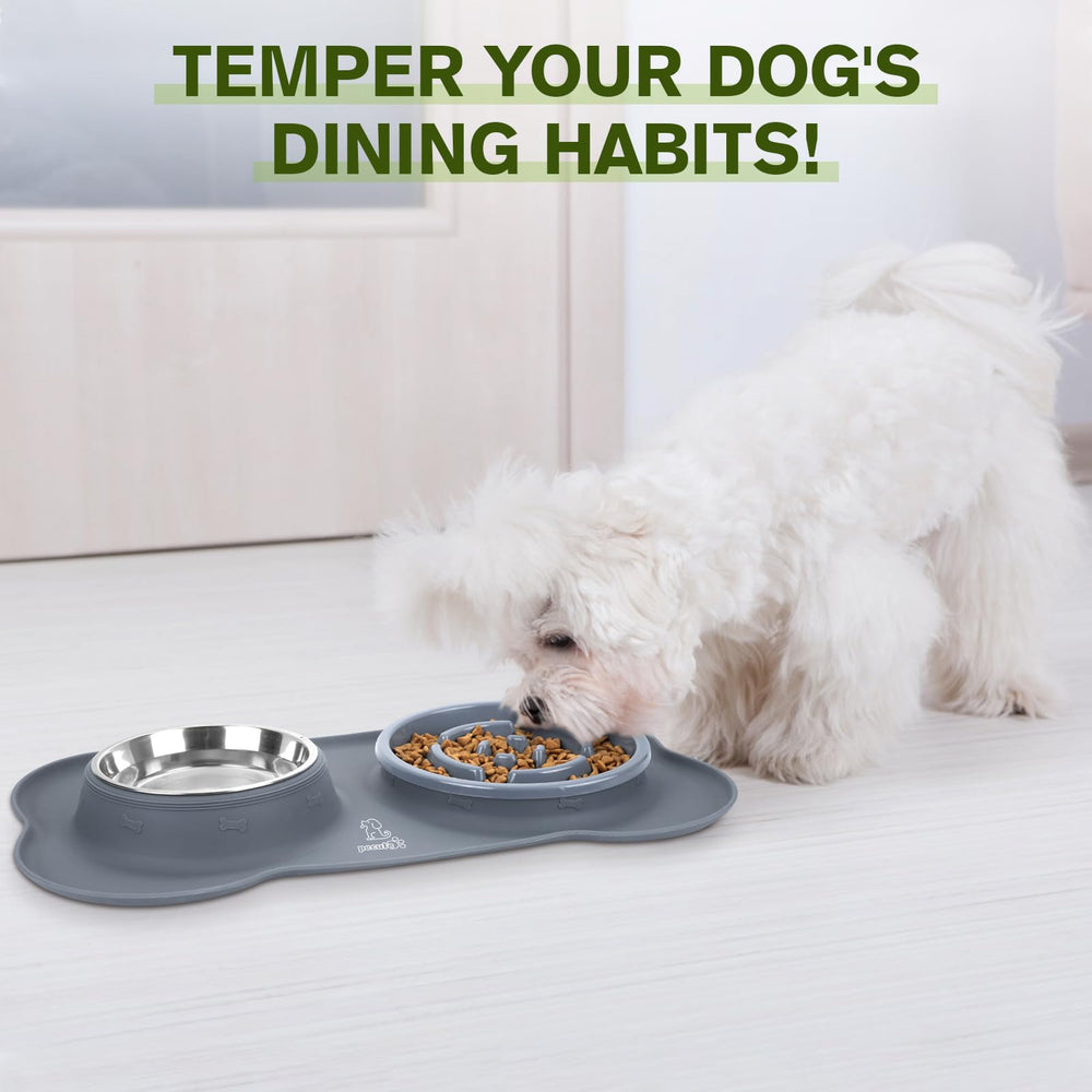 Pecute comedero lento mejora la experiencia de comer de tu mascota