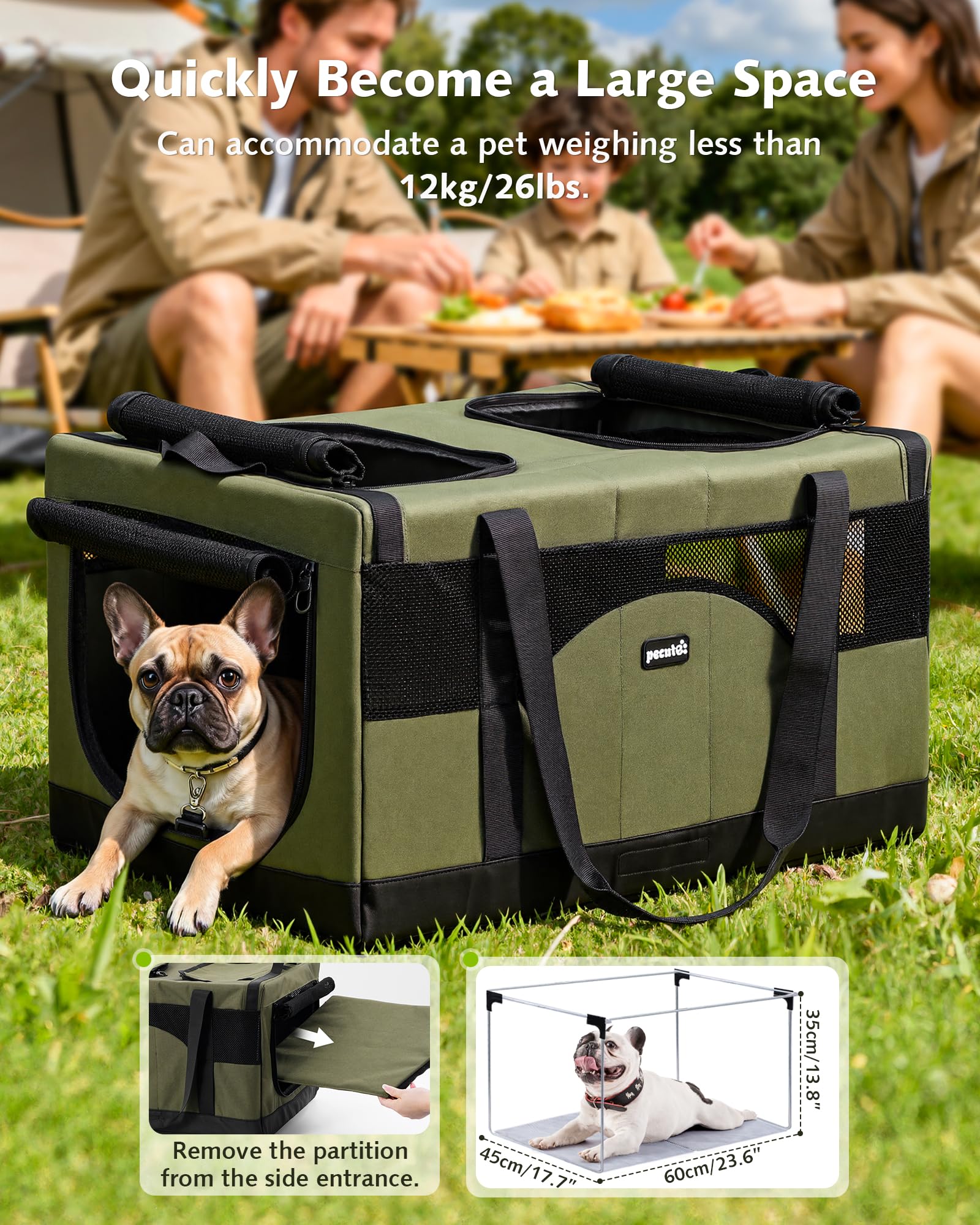 Pecute uso-viajes vet práctico para visitas al veterinario