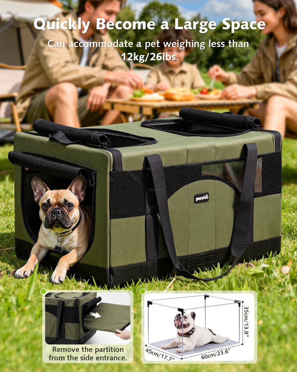 Pecute uso-viajes vet práctico para visitas al veterinario