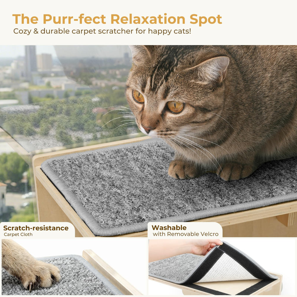 Pecute zona de vista en ventana para gatos curiosos y activos.