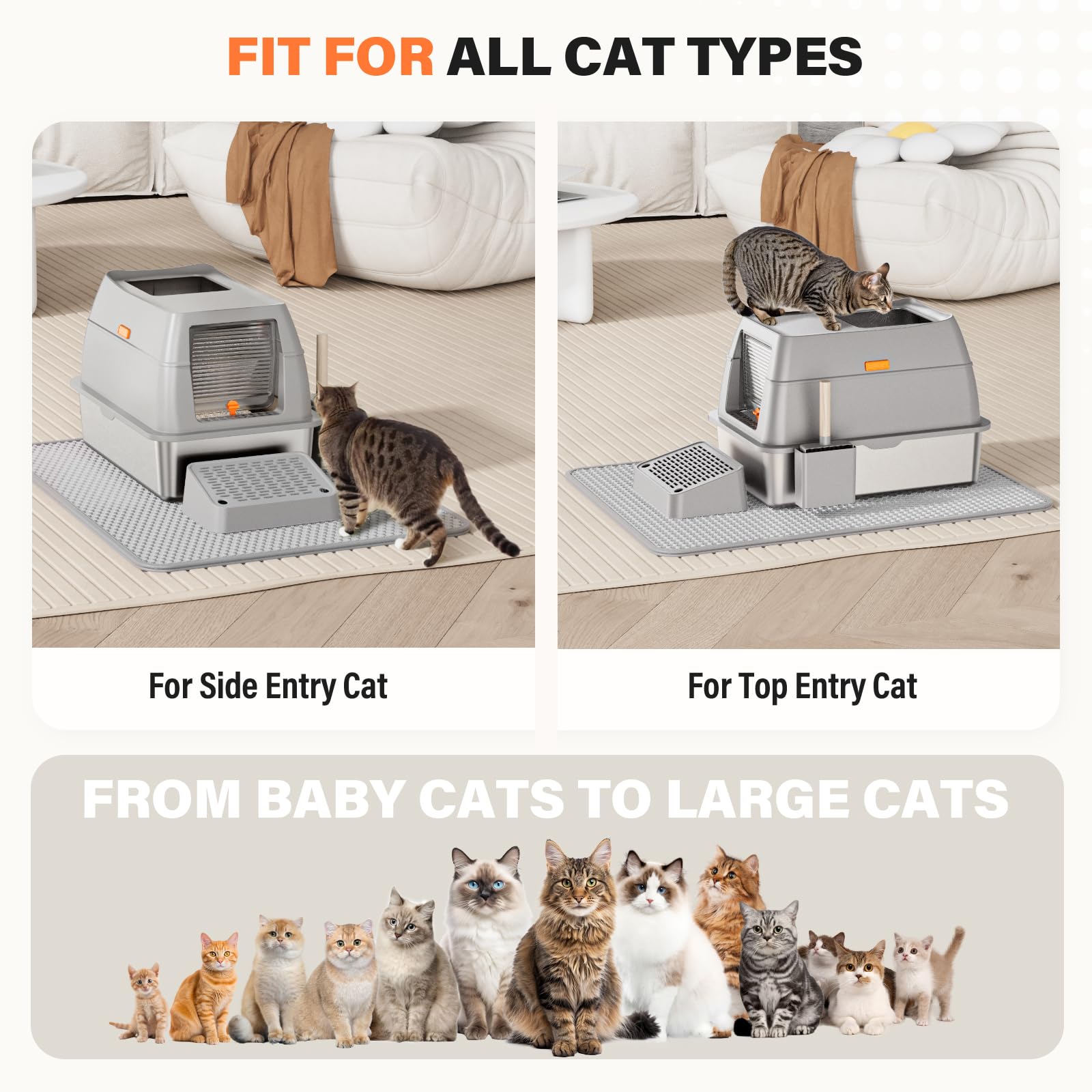 PEDIBAT acceso cómodo con diseño ergonómico y limpieza sencilla.