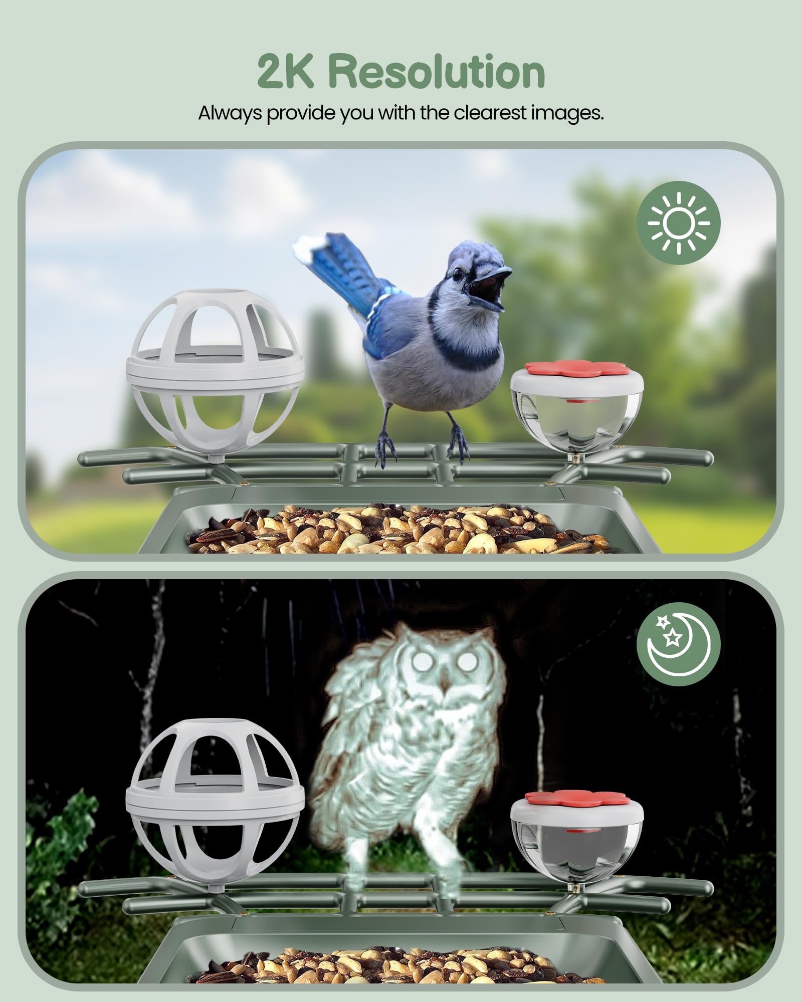 peeipm compartir-avistamientos con comunidad de aves