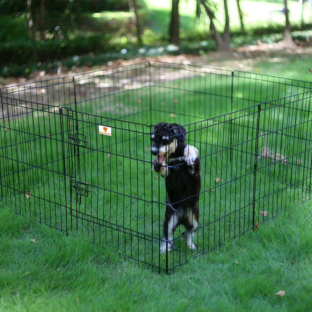 Peekaboo Corral para Perro plegable exterior, ideal para patios
