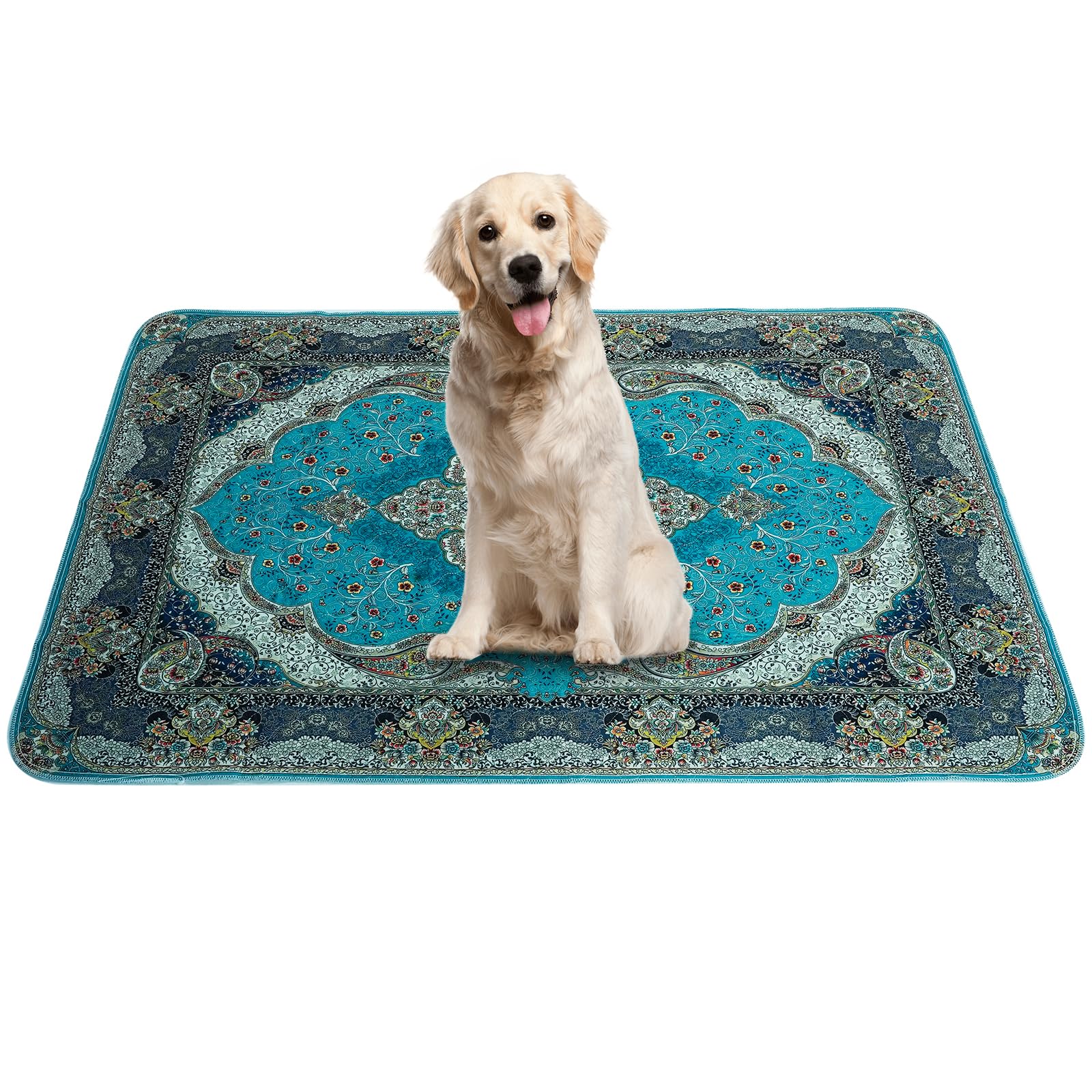 Peepeego: almohadillas de entrenamiento para perros 36x36 cm, absorbentes y reutilizables.