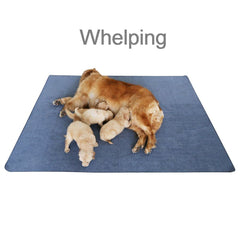 Peepeego tapete para box de cria protege muebles y suelo