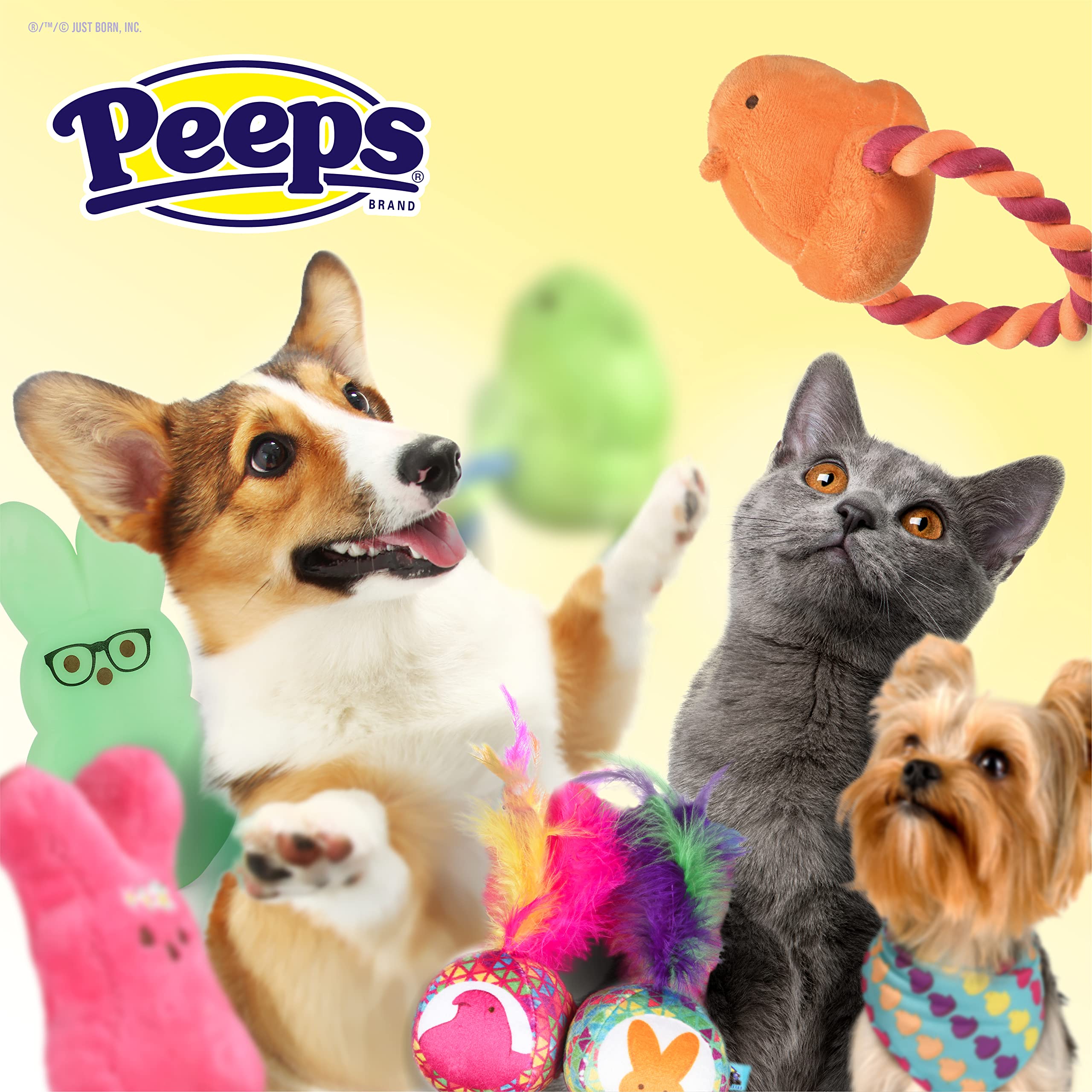 Conejo Peeps para perros, ideal para juegos activos en casa.