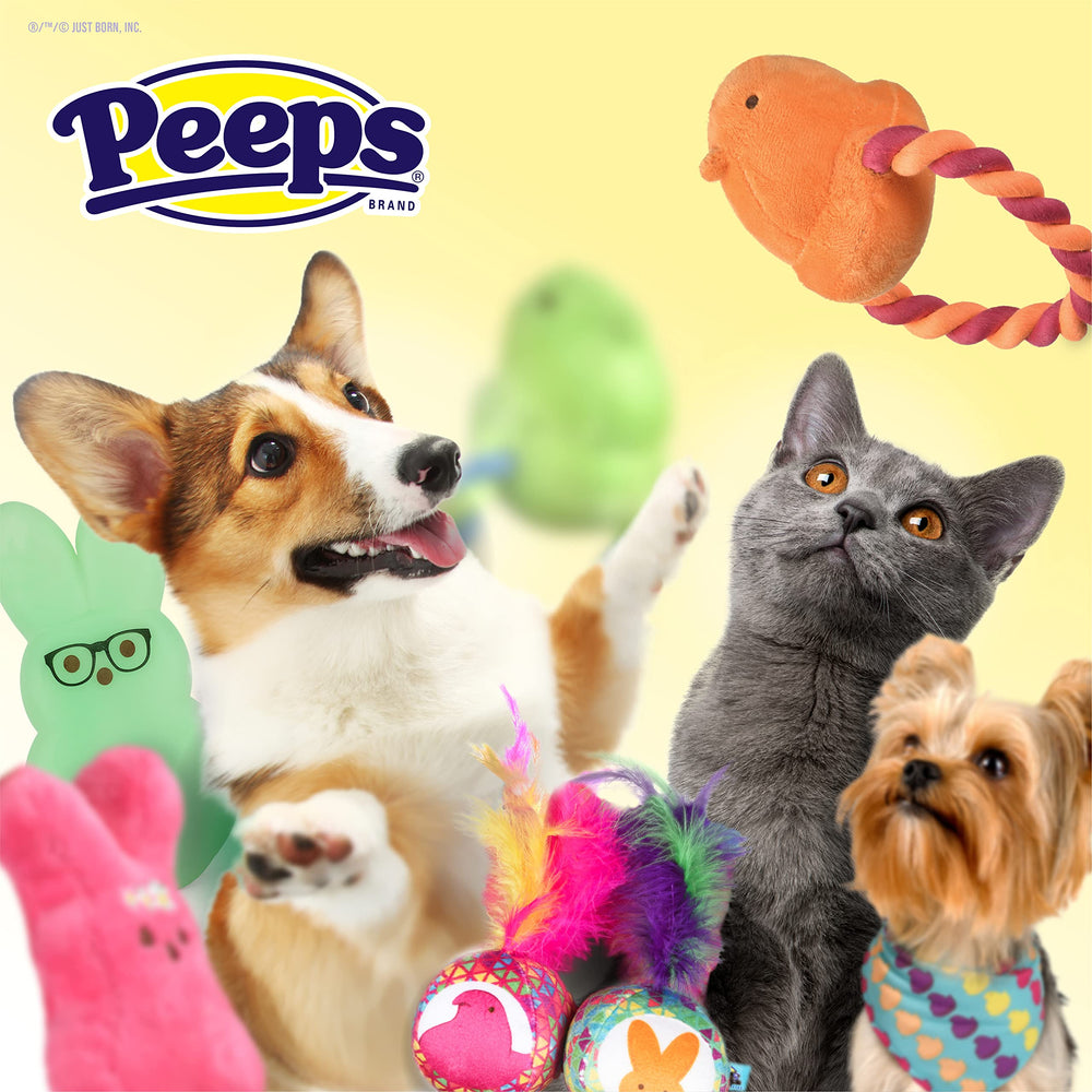 Conejo Peeps para perros, ideal para juegos activos en casa.