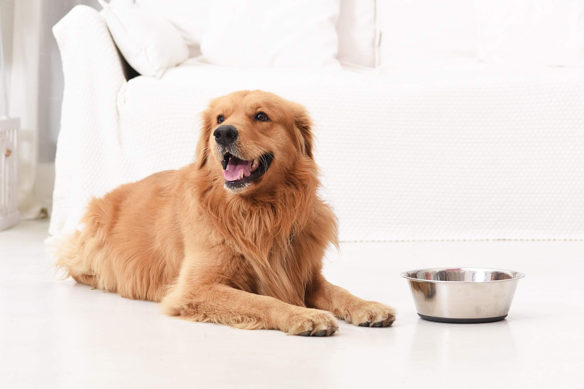 PEGGY11 diseño ergonómico compatible con soportes de alimento.