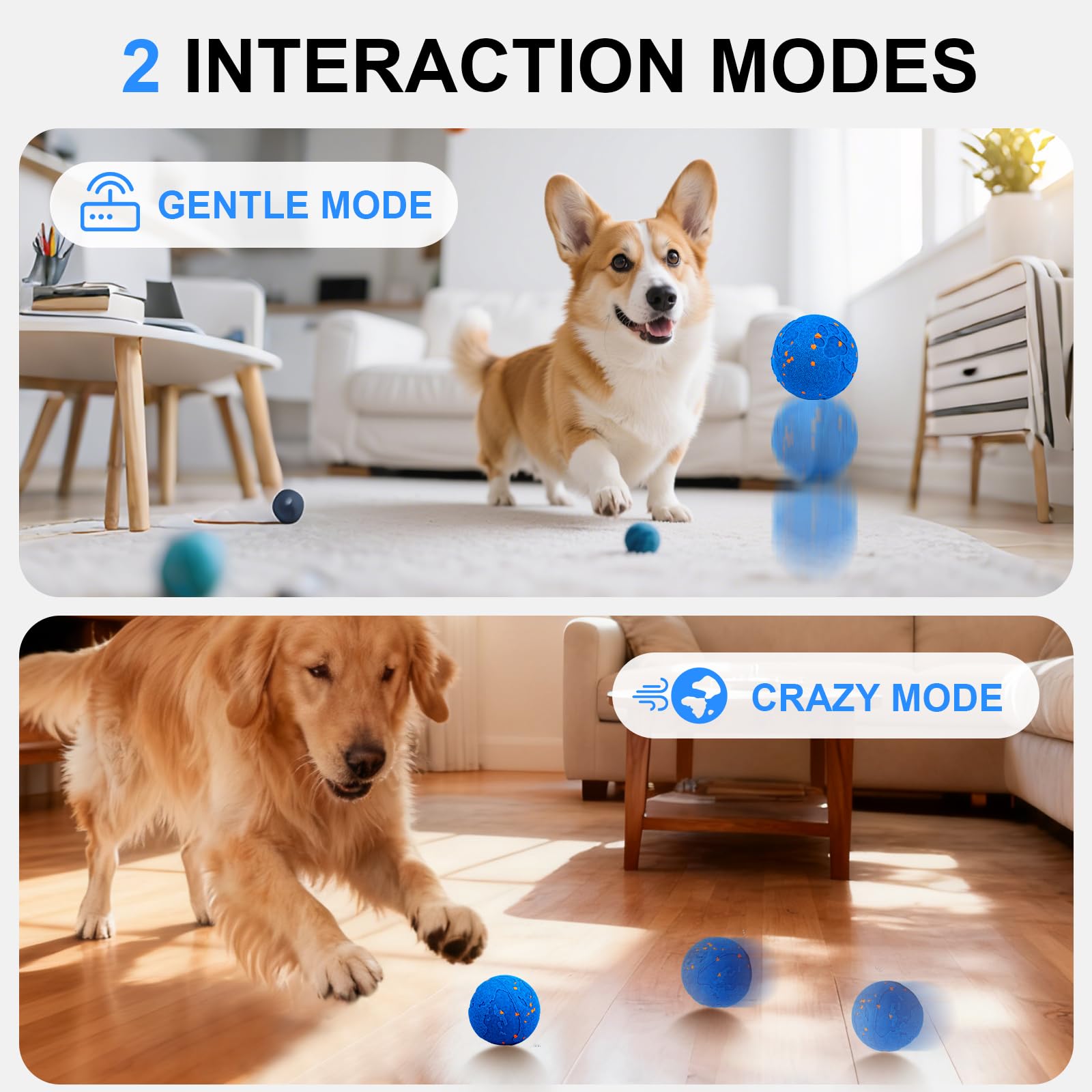 Pelota interactiva para perros: modo loco para perros enérgicos.