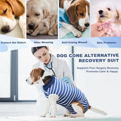 Pelukoa Traje para macho esterilización azul, uso posquirúrgico