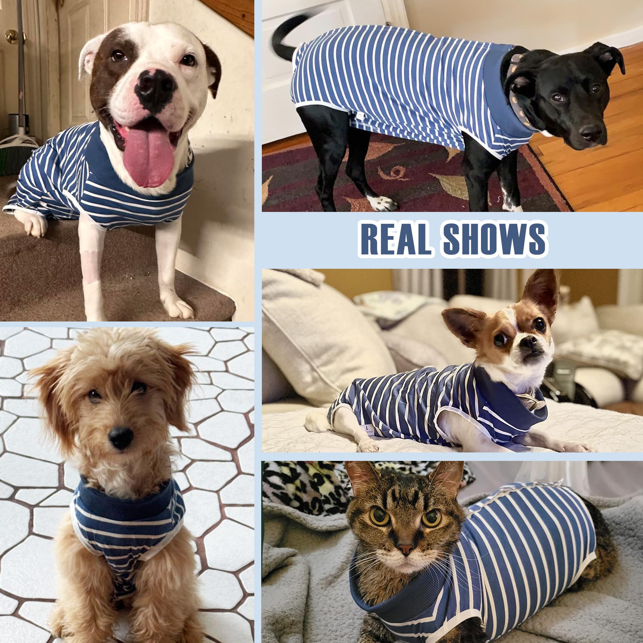 Pelukoa Traje de recuperación azul, uso en todas las estaciones