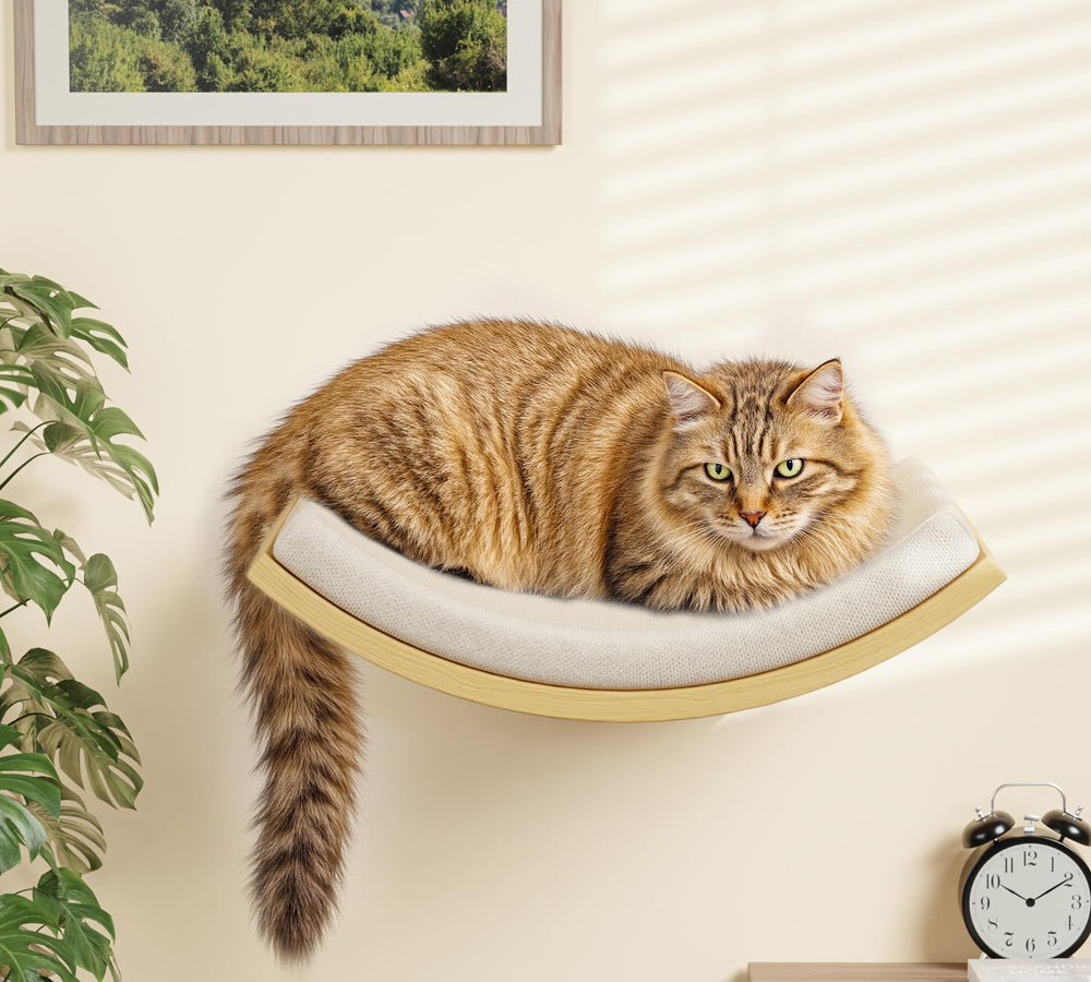 PELUMOZ estante para gato de madera curva con almohadilla de espuma, confort ergonómico.