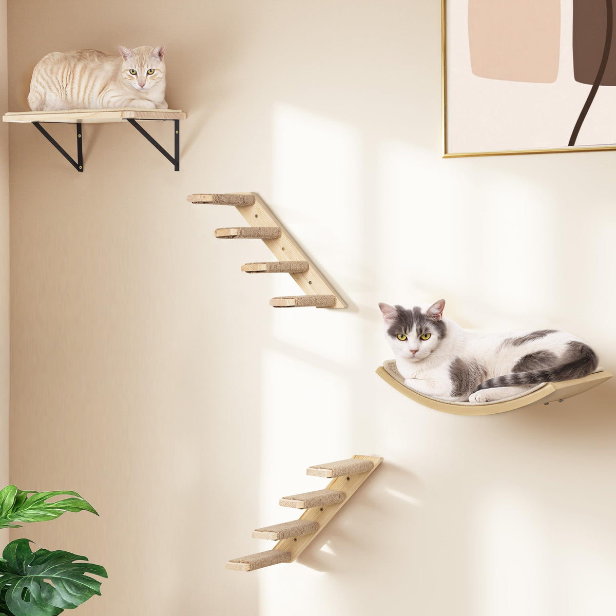 PELUMOZ: nido curvo para gatos, descanso cómodo y juego vertical.