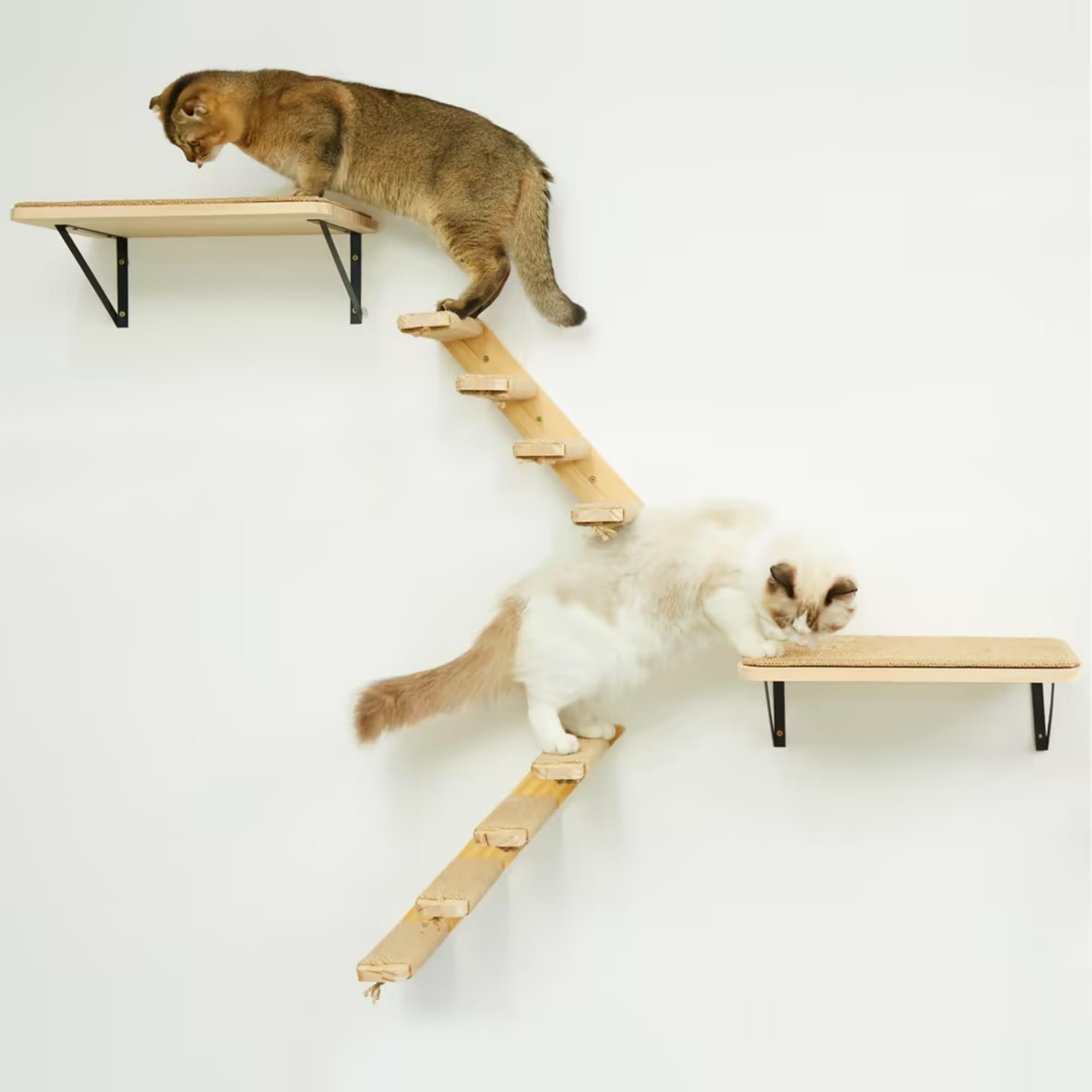 PELUMOZ escaleras gato 4 pasos escalada divertida para felinos