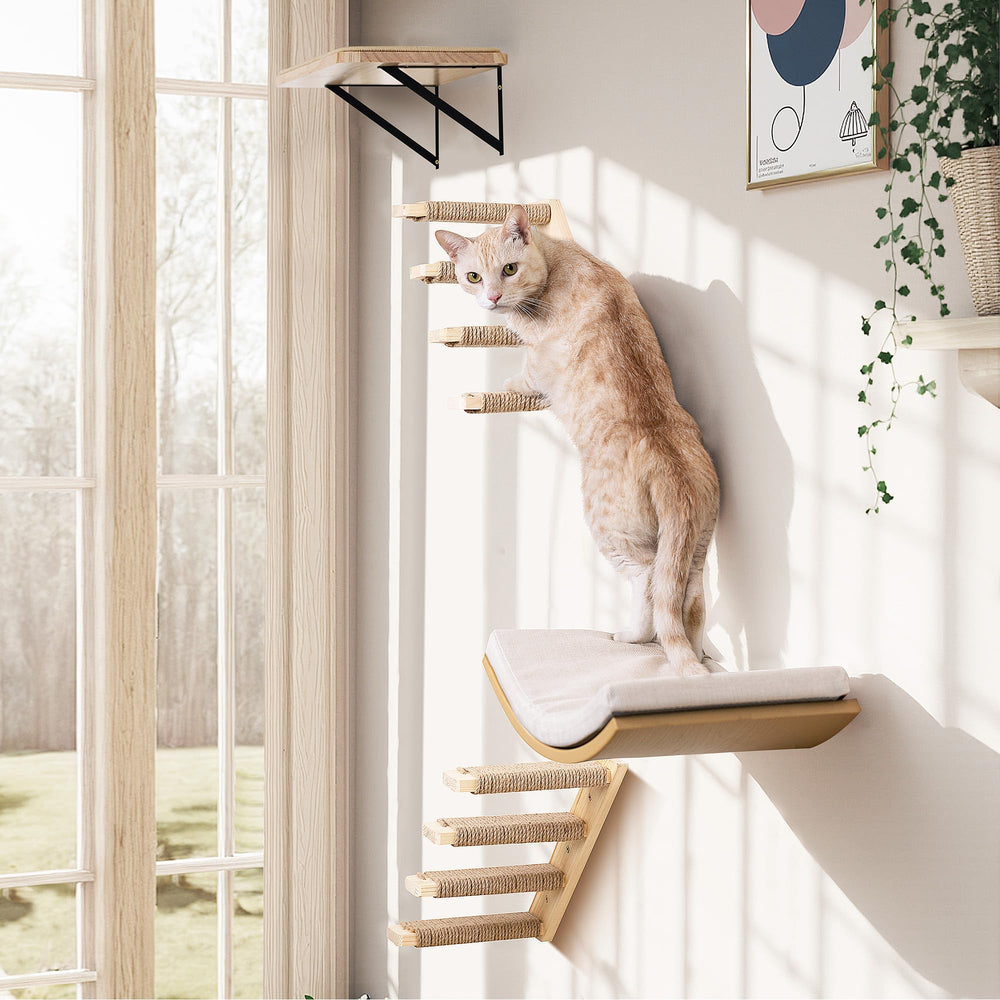 PEL UOMOZ escaleras de sisal para gatos, juego y ejercicio seguro.