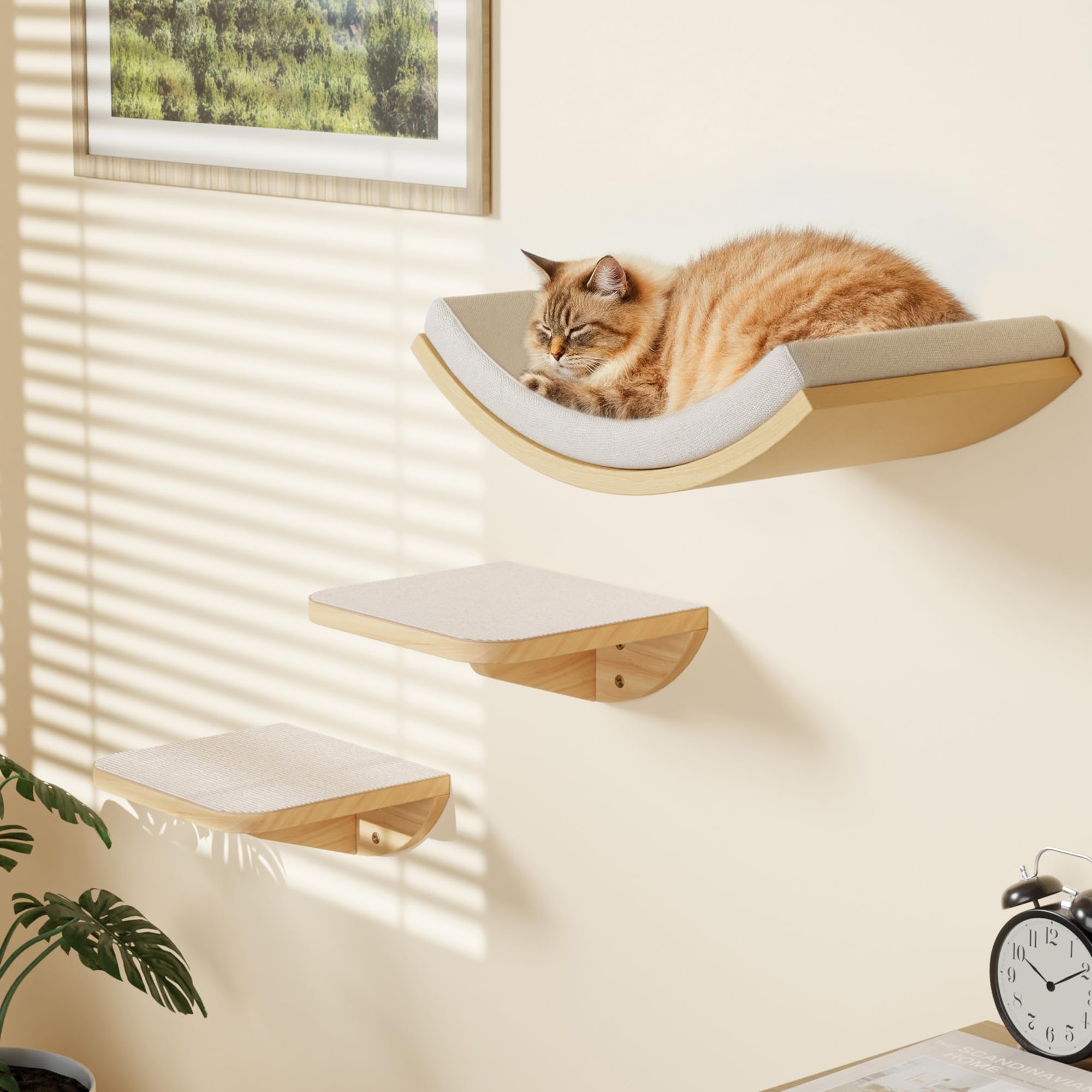 PELUMOZ hamaca curva de ventana para gatos, descanso cómodo en altura.