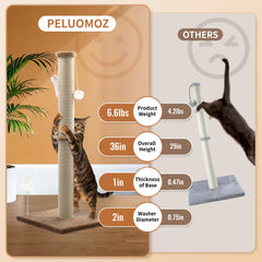 PELUMOZ juguete bola colgante fomenta juego interactivo y curiosidad