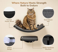 Peluomoz montaje en pared, sistema modular para gatos.