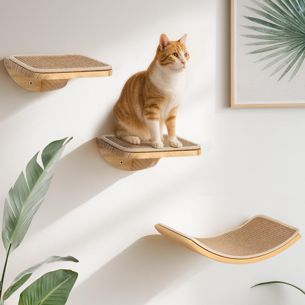 PELUMOZ percha de ventana curva para gatos: descanso cómodo y seguro.