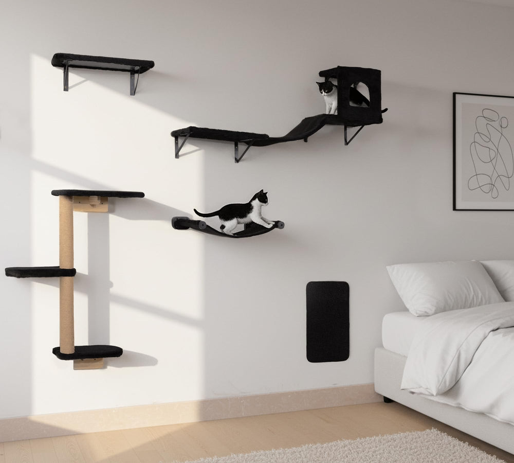 PEL UOMOZ regalo ideal: juego interactivo para hogares con varios gatos.