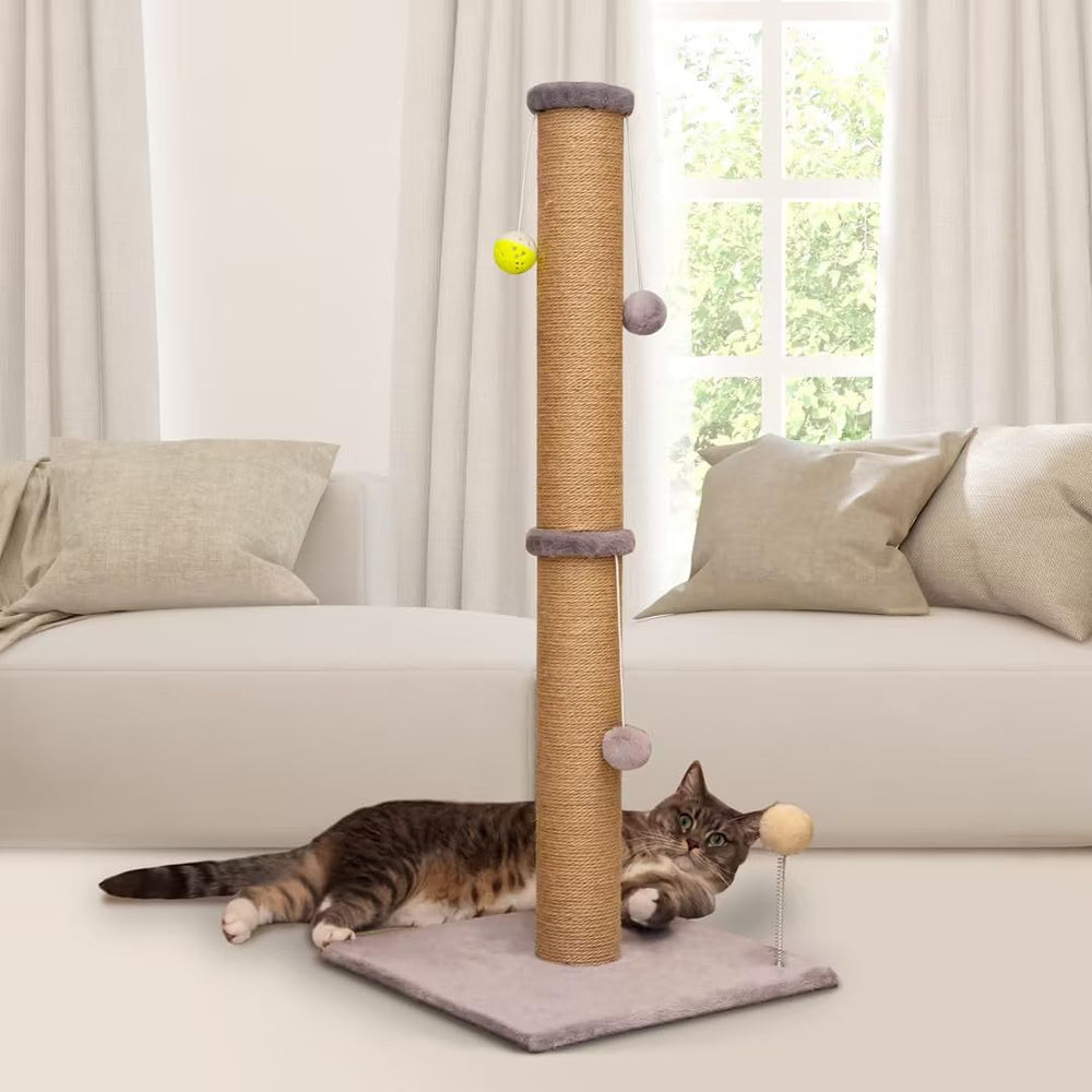 PelúomoZ torre rascado para interiores, mantiene al gato activo y entretenido.