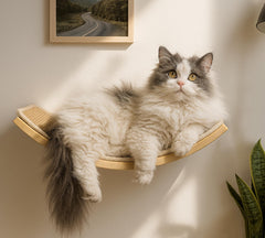 PELUMOZ cama-muro curva: descanso elevado cómodo para gatos grandes.