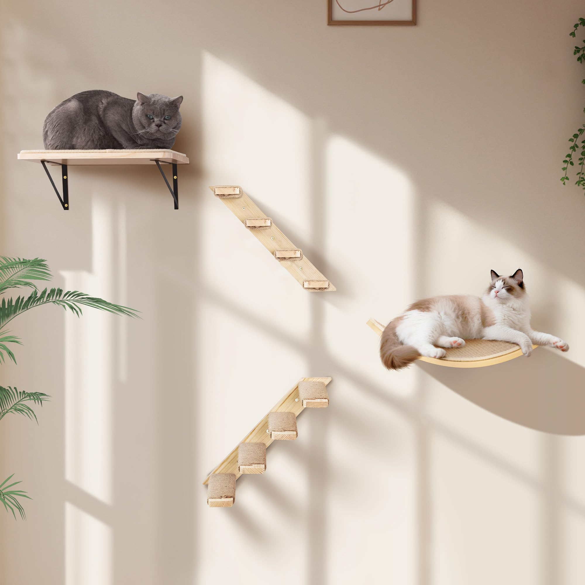 PELUMOZ regalo ideal: opción práctica para familias de gatos.