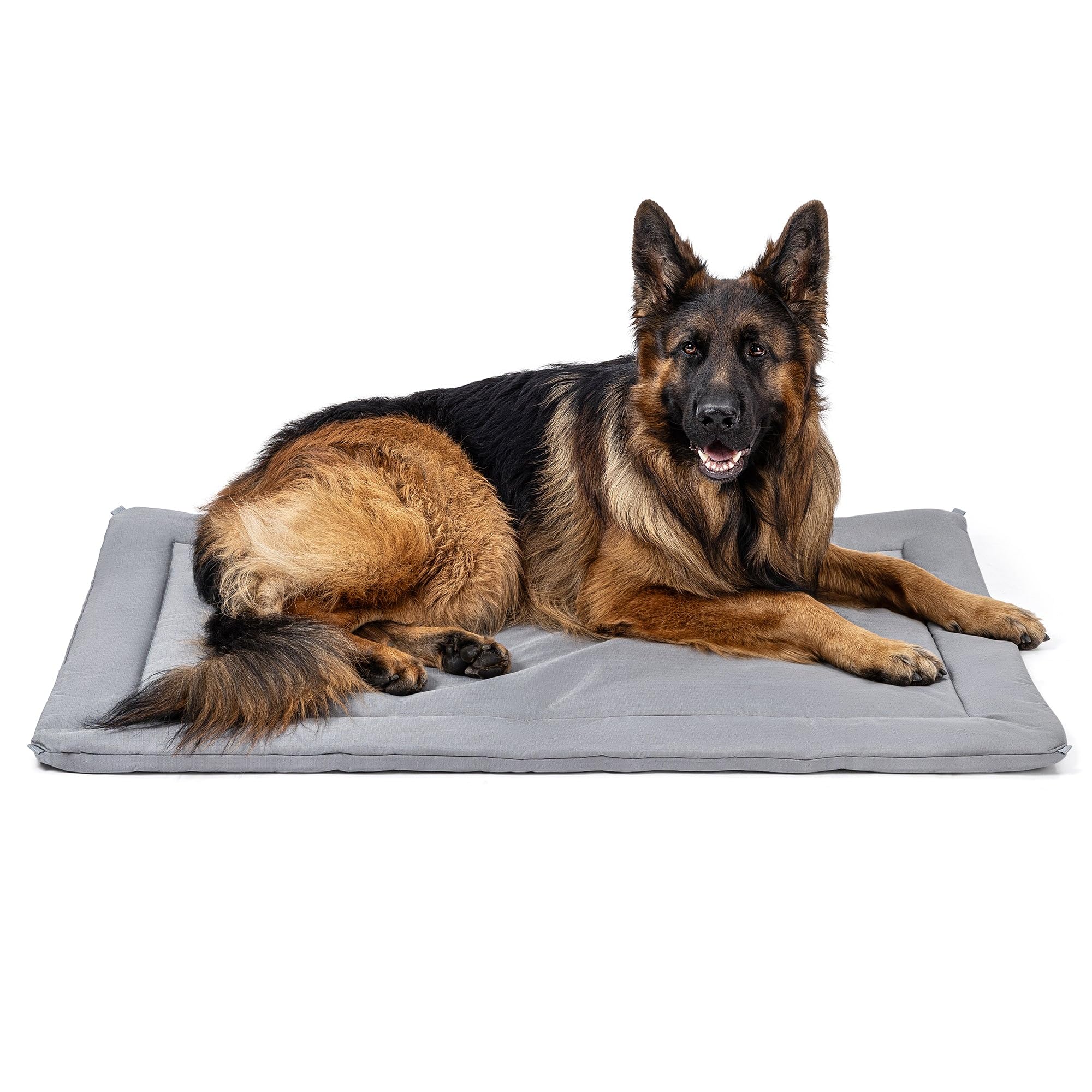 PELZIN Cybarmour: cama de jaula de 48 pulgadas para perros grandes, cómoda y resistente.