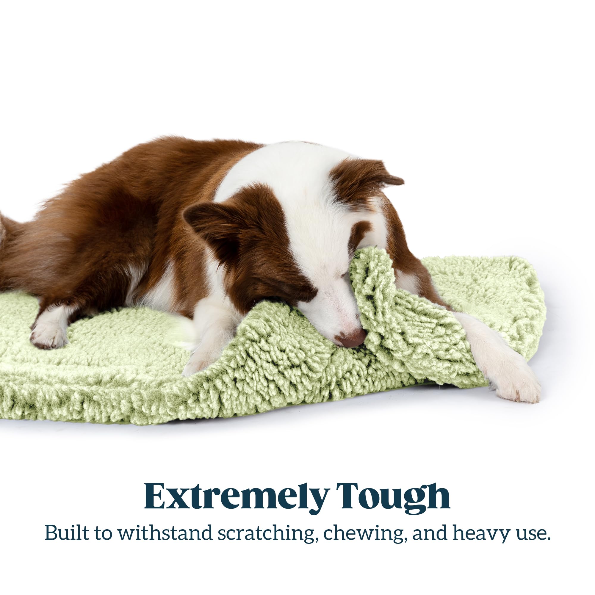 Pelzin Stoutwool, diseño sin cremalleras, ideal para perros activos que mastican.