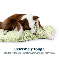 Pelzin Stoutwool, diseño sin cremalleras, ideal para perros activos que mastican.