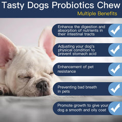 Penkyer Probióticos para Perros, 6 mil CFU, favorece el equilibrio intestinal y la energía.