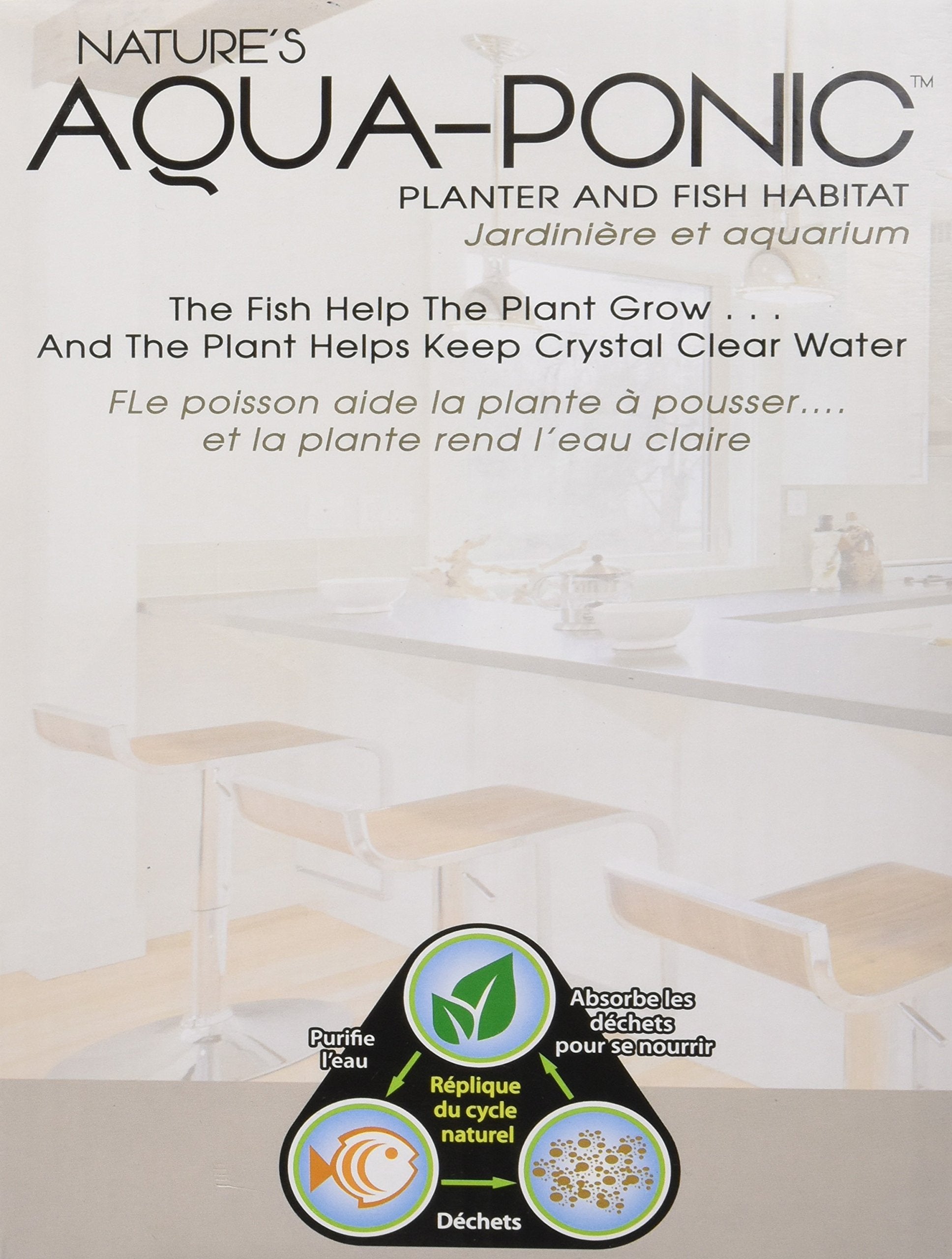 Penn-Plax APON1 betta en tanque compacto, espacio y agua estable.