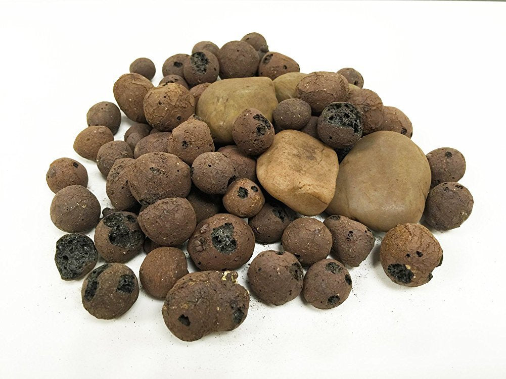 Penn-Plax APON1 jardín hidropónico para cultivo doméstico con peces.