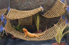 PENN-PLAX Reptology Lizard Lounger Corner Triangle, material seagrass natural, suave para la piel sensible.