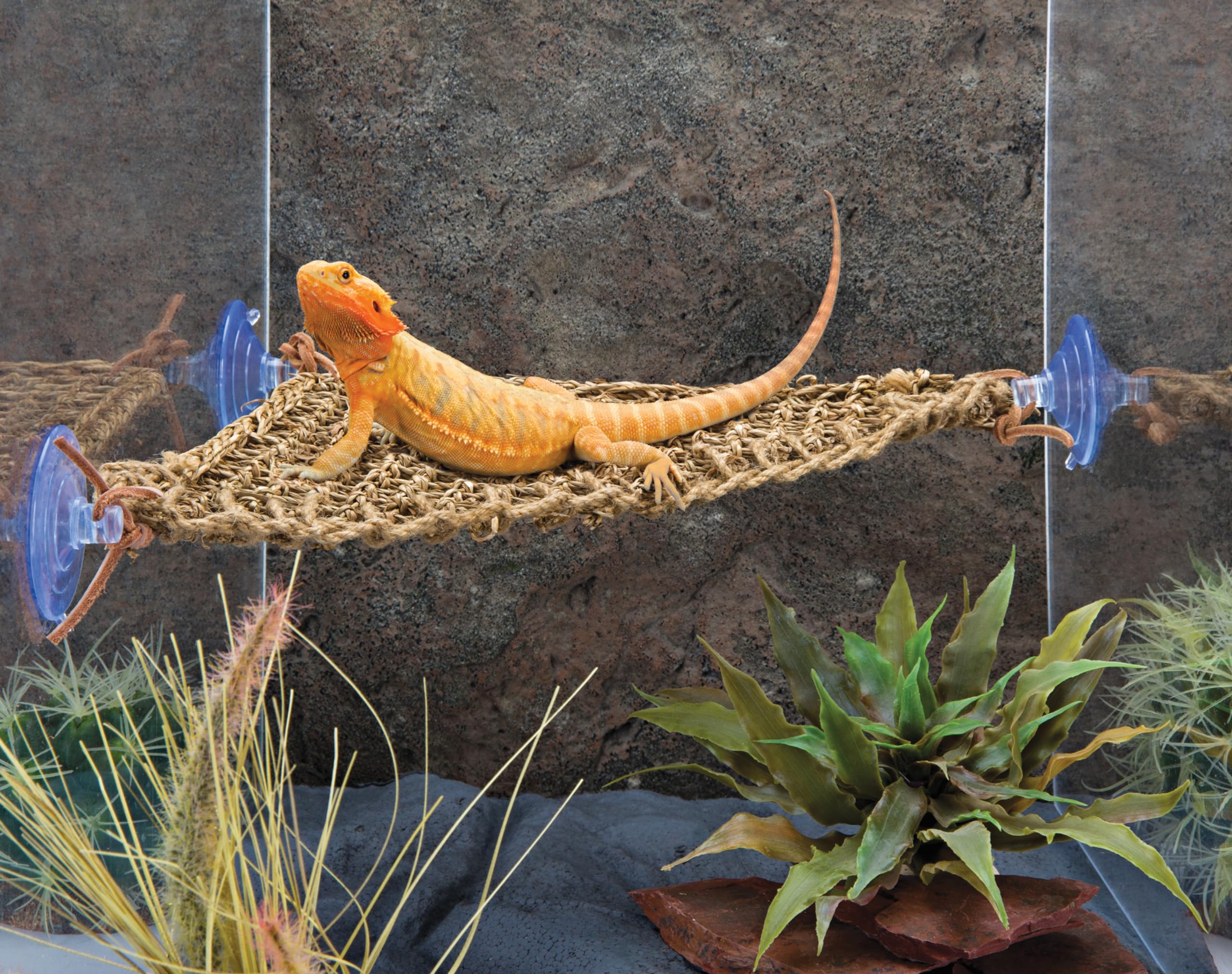 PENN-PLAX Reptology Lizard Lounger Corner Triangle, fibra natural de seagrass, fácil de limpiar.