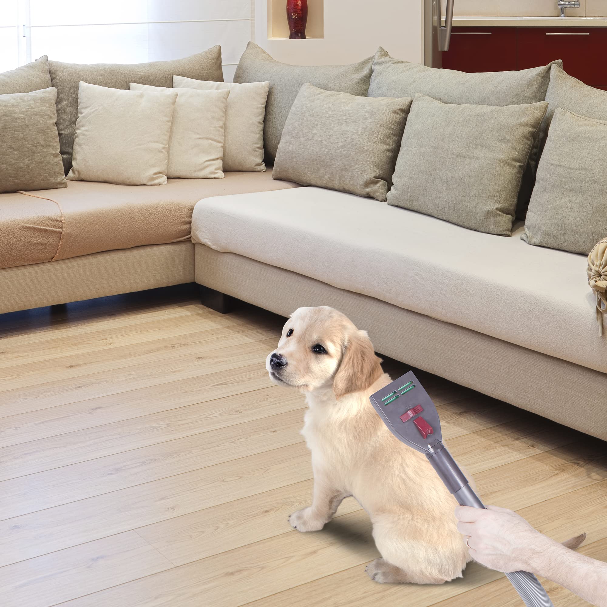 Demostración de uso de VacGroom con mascota