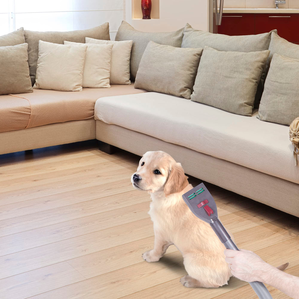 Demostración de uso de VacGroom con mascota