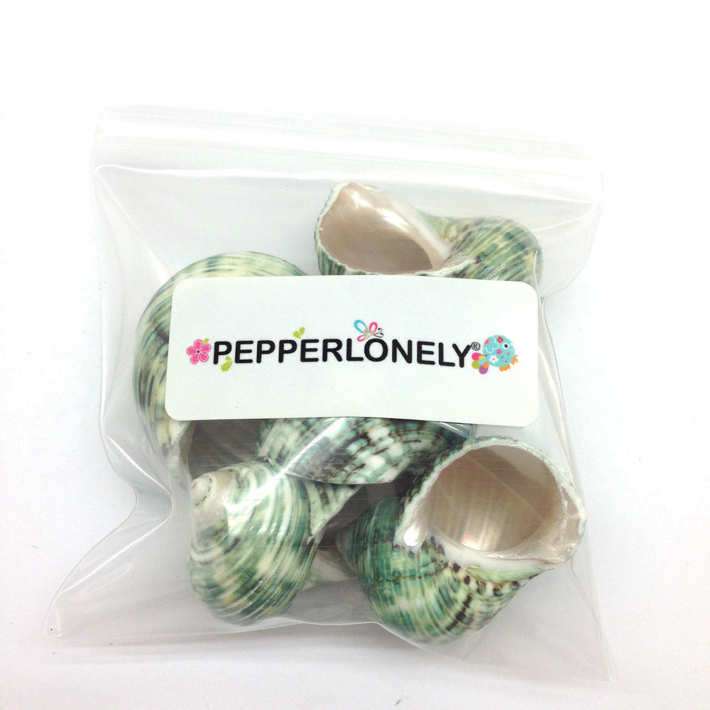 PEPPERLONELY natural shells with openings ideal for shellcraft projects.