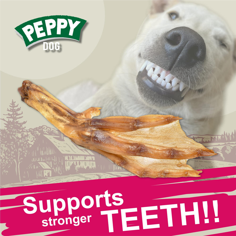 PEPPY DOG ingredientes naturales patitas de pato, snack nutritivo para perros.